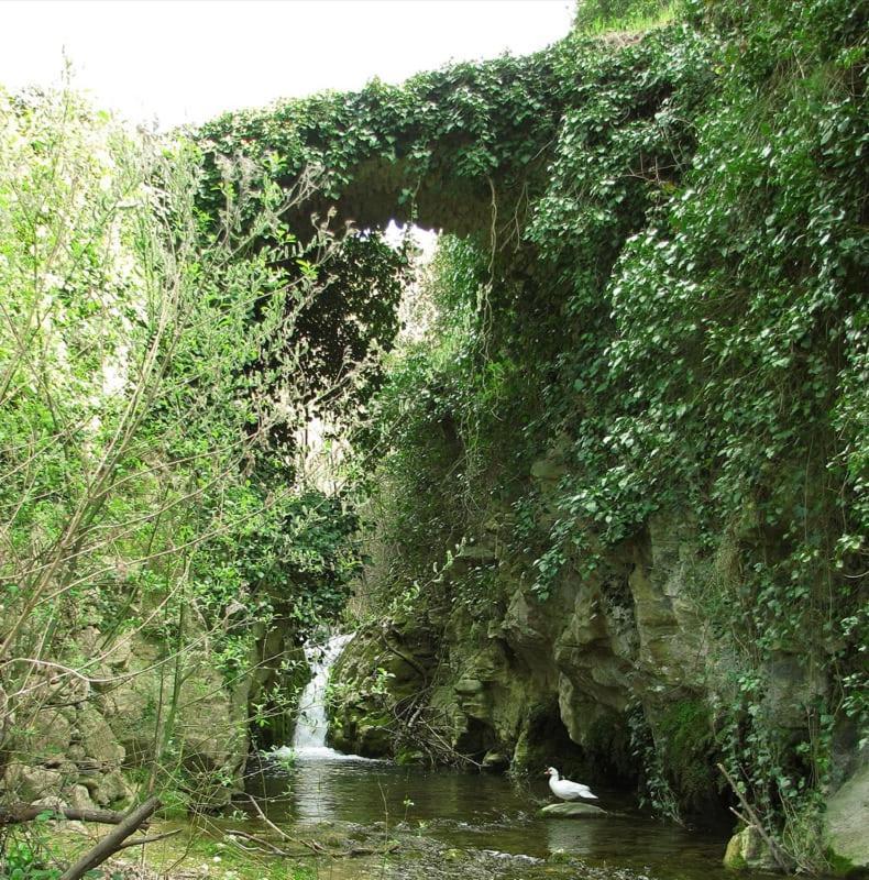 Habitacion De La Marquesa Alcoleja Экстерьер фото