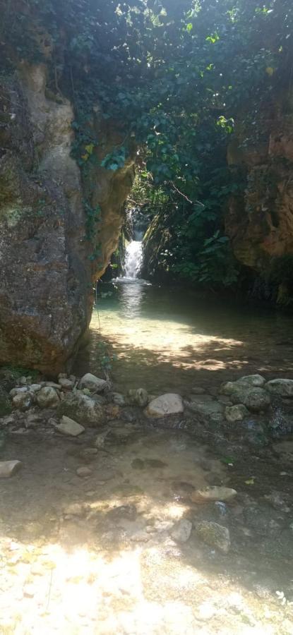 Habitacion De La Marquesa Alcoleja Экстерьер фото