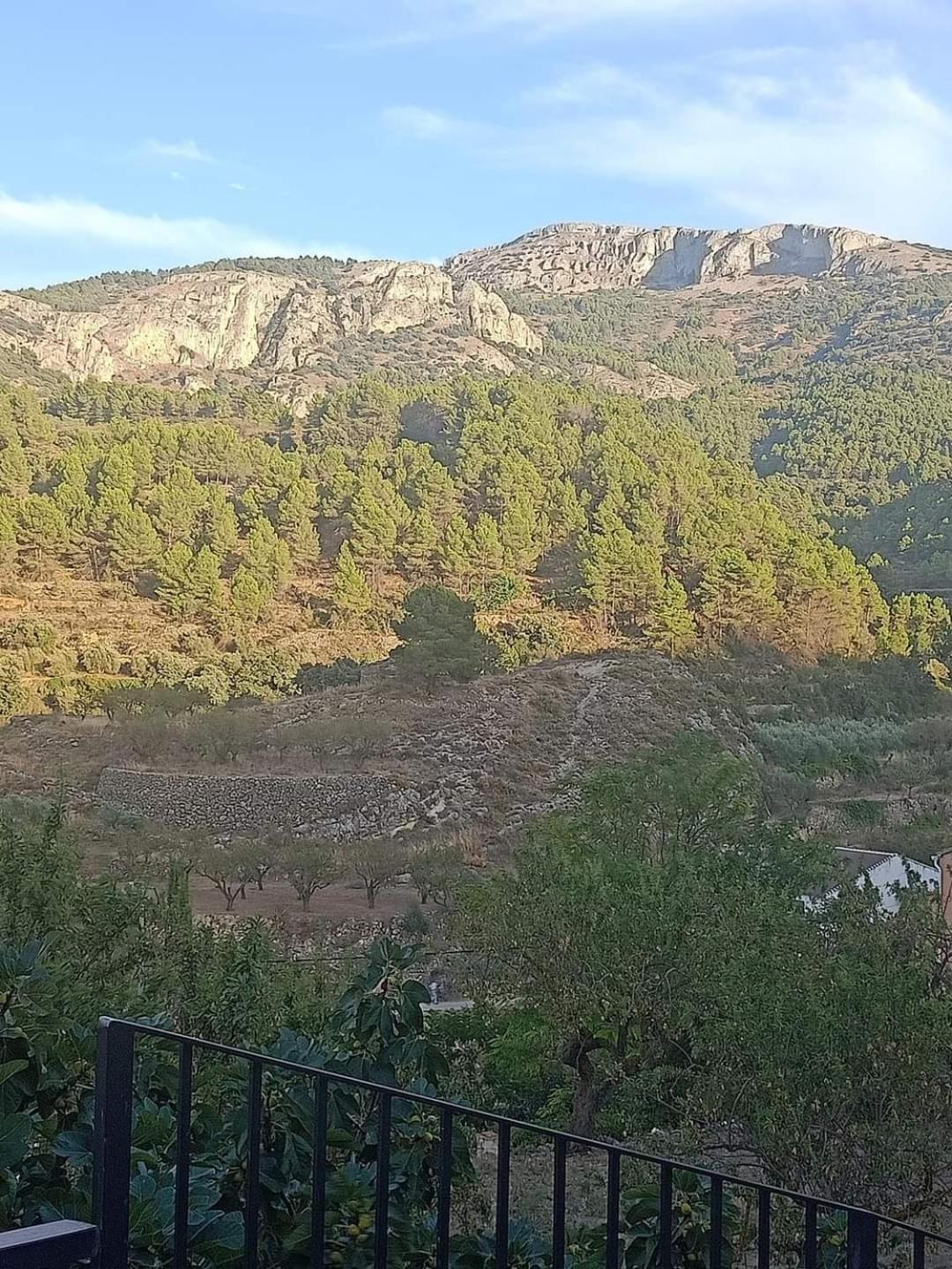 Habitacion De La Marquesa Alcoleja Экстерьер фото